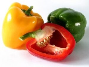 Fresh Capsicum
